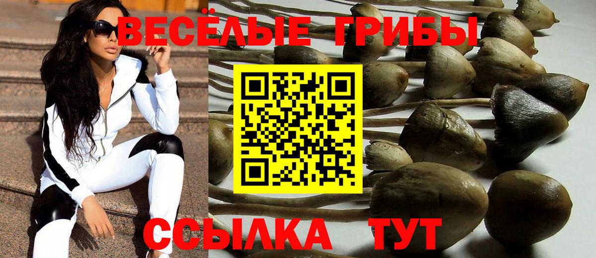 Галлюциногенные грибы прущие грибы  Вход с VPN  Иваново 
